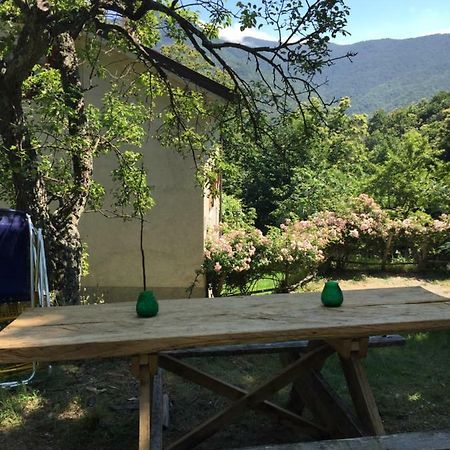 Villa Casa Nel Bosco à Osiglia Extérieur photo
