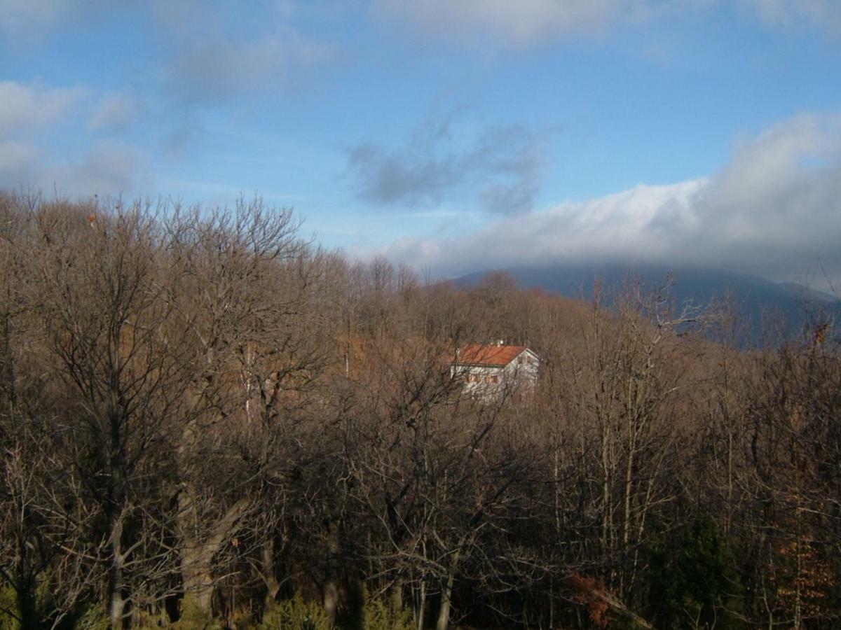 Villa Casa Nel Bosco à Osiglia Extérieur photo