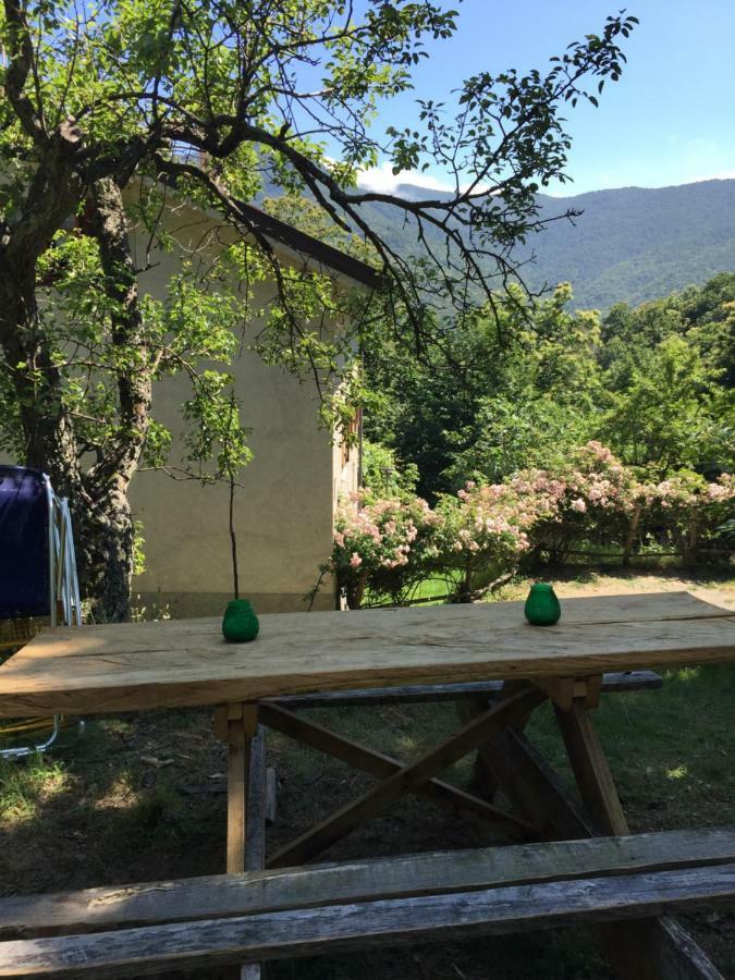 Villa Casa Nel Bosco à Osiglia Extérieur photo