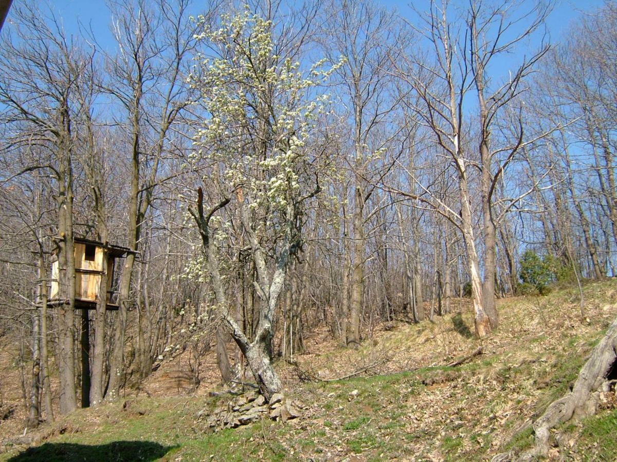 Villa Casa Nel Bosco à Osiglia Extérieur photo